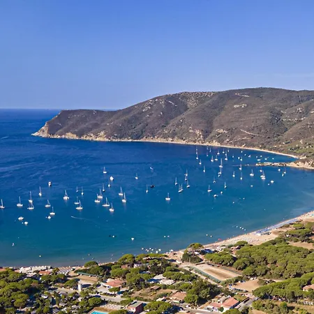 Costanza Couette-café Lacona