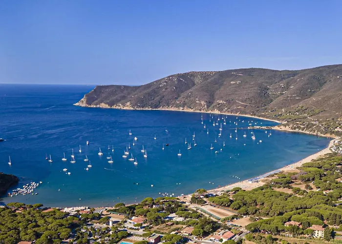 Costanza Couette-café Lacona